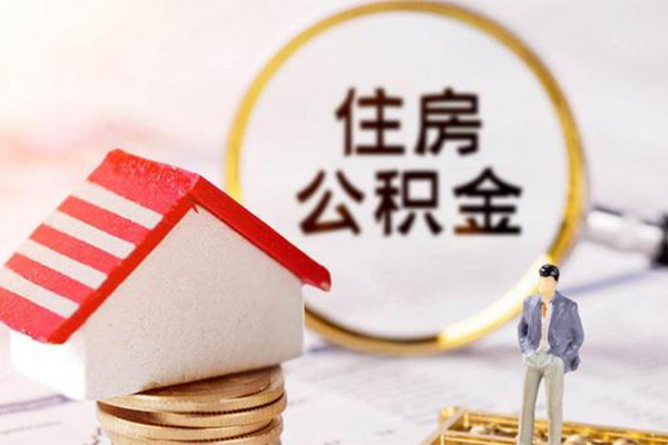 深圳41押车